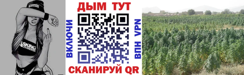 МАРИХУАНА план  Обоянь 